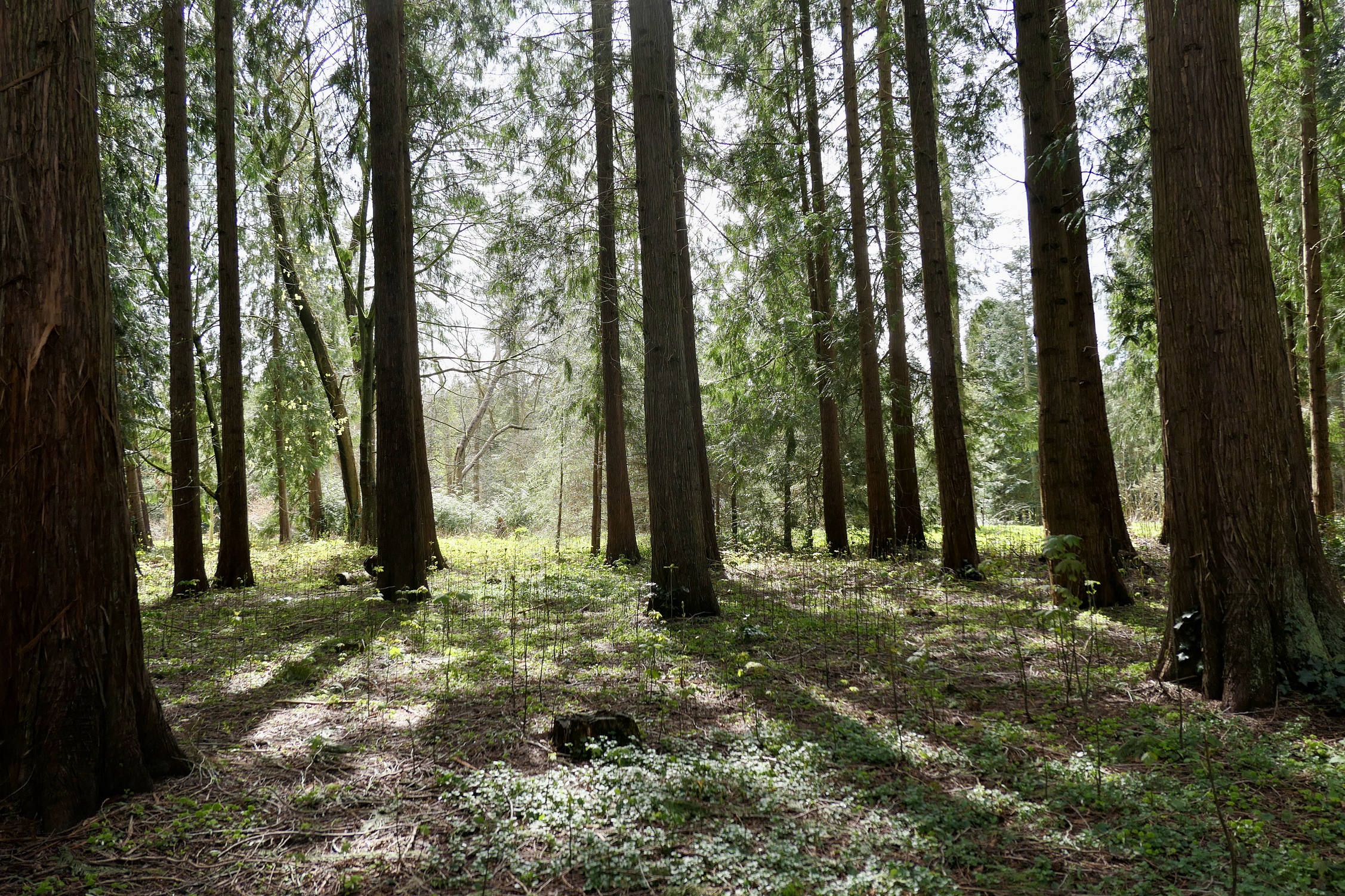 Landgoed Schovenhorst